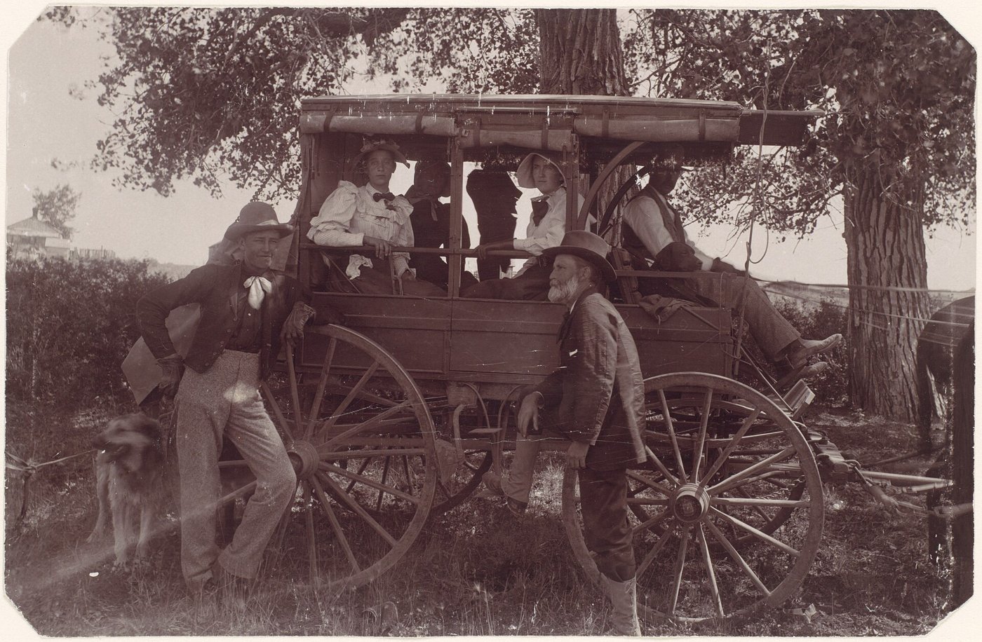 Tarleton Carriages