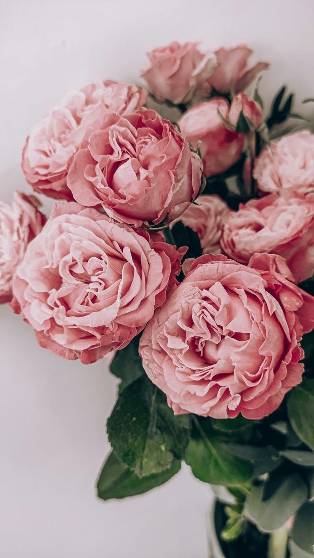 Central Co-op Florist - Walsall Road, Great Barr