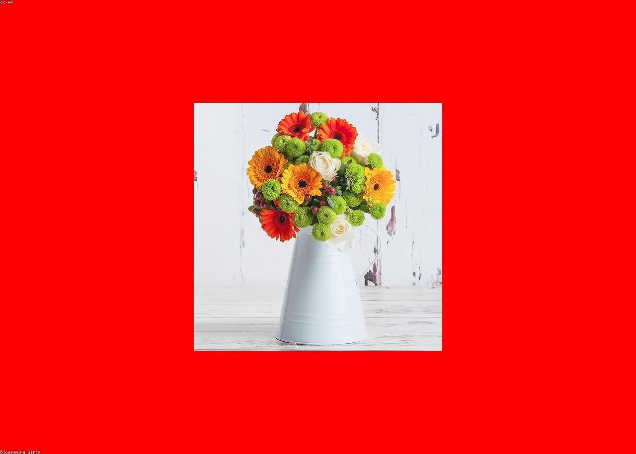The Floral Archer Ltd