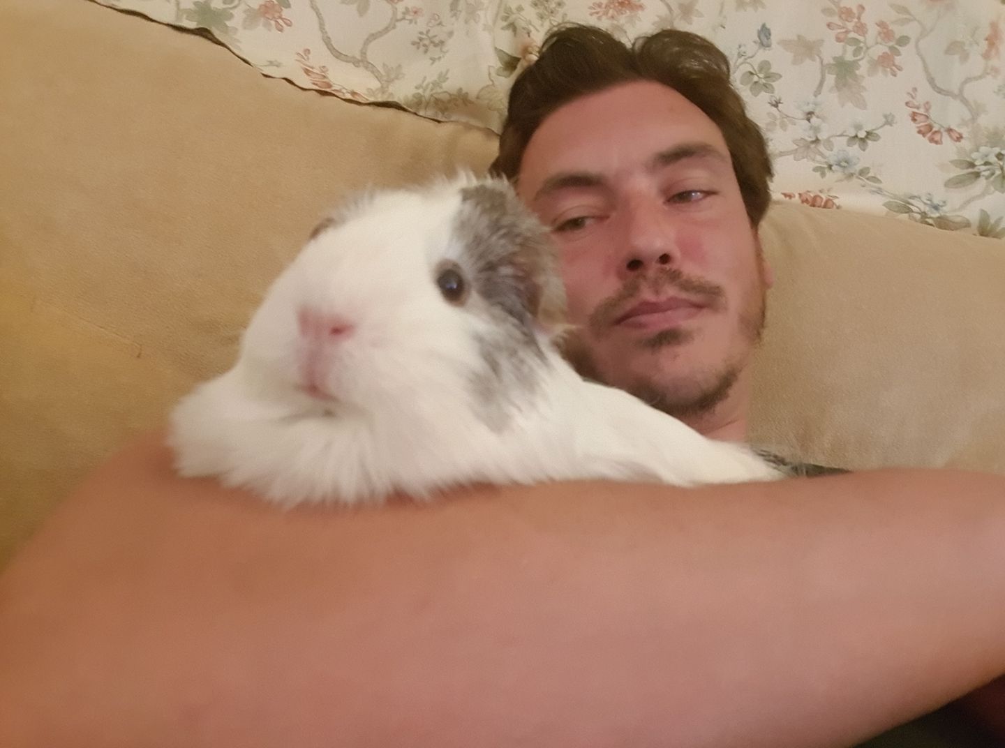 Image for Dido the Great of Carthage