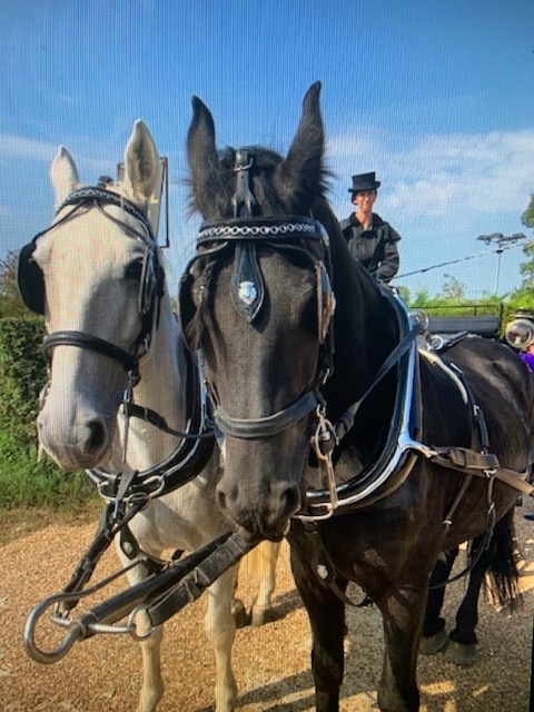 Gallery image for Edward Joseph Pipe